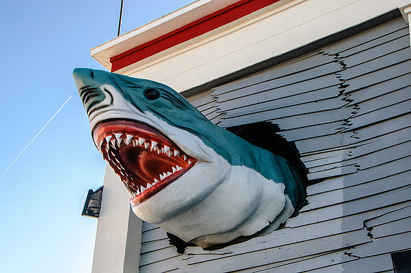 Ocean City, MD