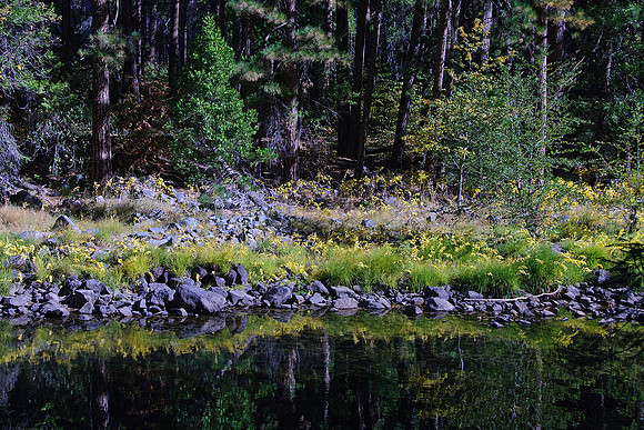 Fall Color Along the Merced River