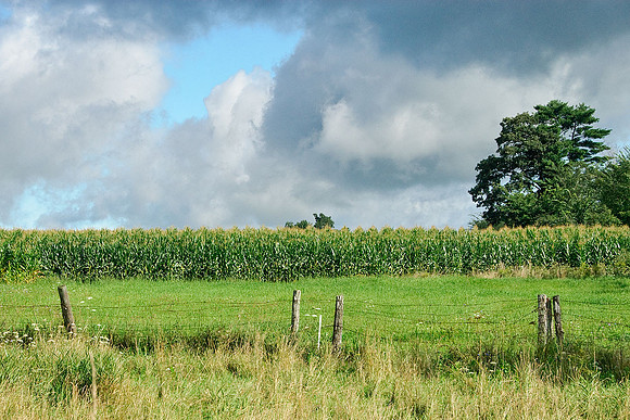 Vermont