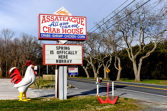 Worcester County, MD