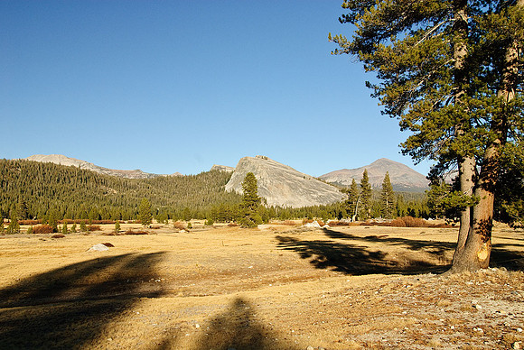 Tuolumne Meadows