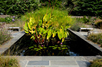 Brookside Gardens