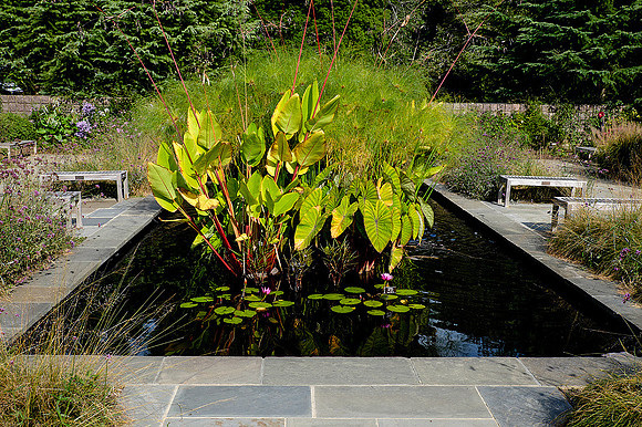 Brookside Gardens