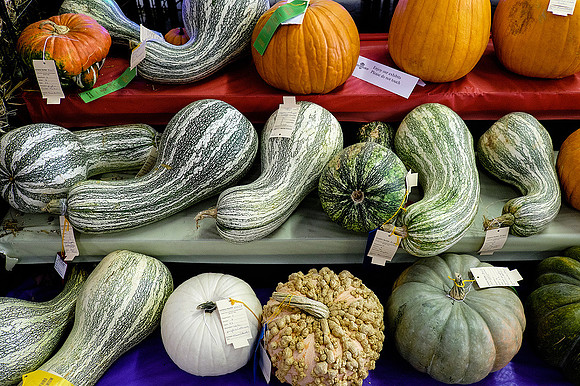 Frederick County Fair