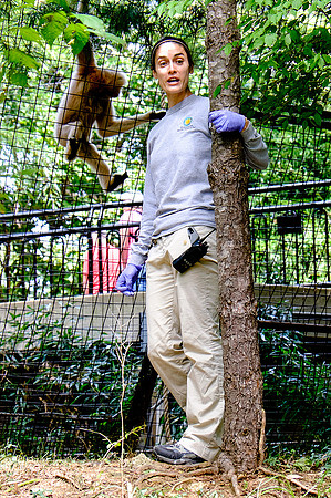 National Zoo, Washington DC