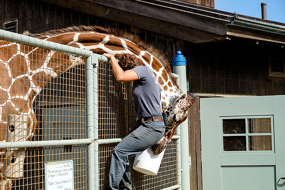 San Francisco Zoo