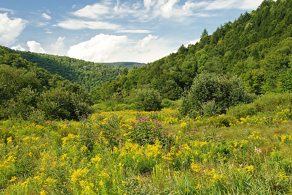 White River Valley, VT