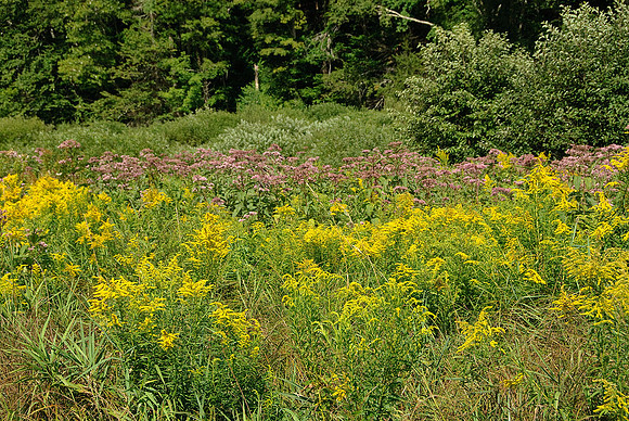 White River Valley, VT