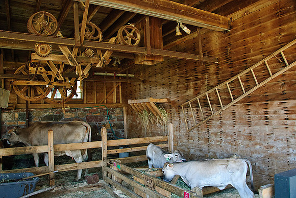 Shelburne Farms, Shelburne, VT