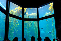 Monterey Bay Aquarium