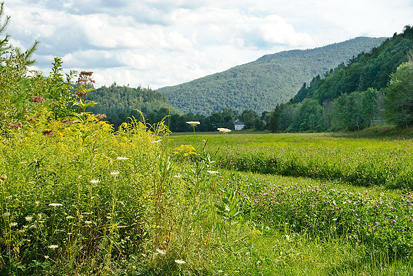 White River Valley, VT