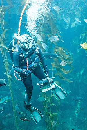Monterey Bay Aquarium