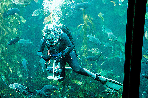 Monterey Bay Aquarium