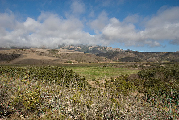 California Coast
