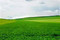 Pennsylvania