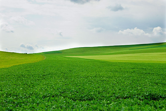 Pennsylvania