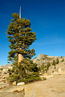 Olmsted Point