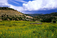 Colorado