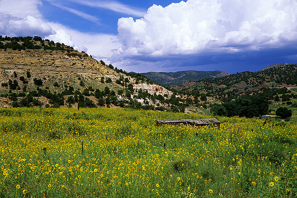 Colorado