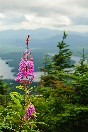 Adirondack State Park, NY