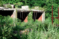 Cass Lumber Mill