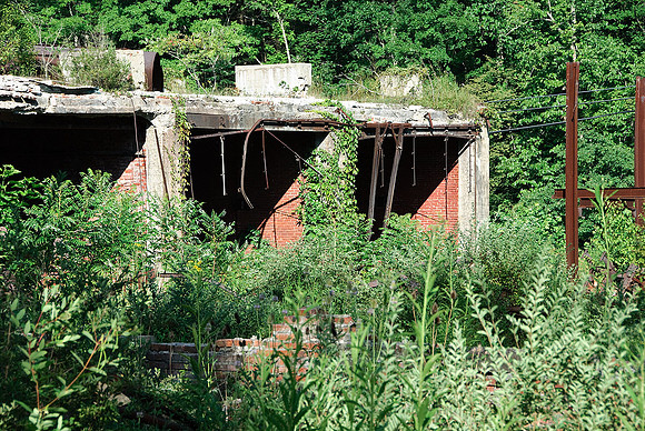 Cass Lumber Mill