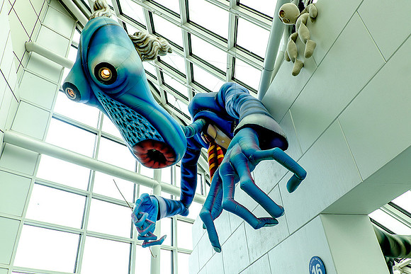 Rock and Roll Hall of Fame