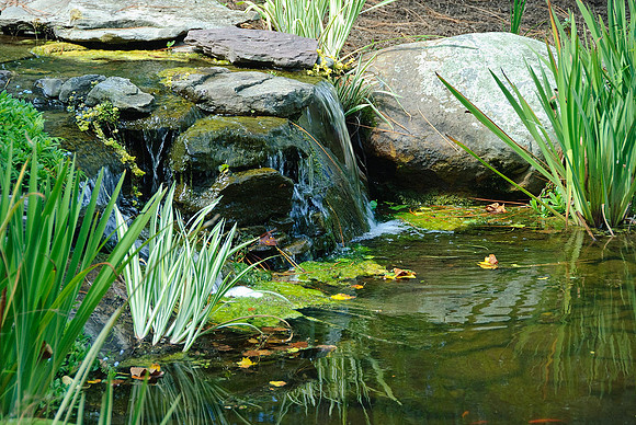 Ladew Gardens, Monkton, MD