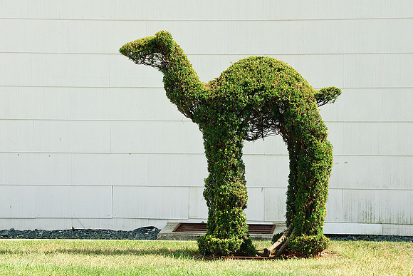 Ladew Gardens, Monkton, MD