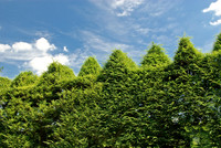 Ladew Gardens, Monkton, MD