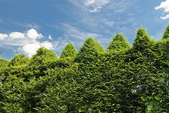 Ladew Gardens, Monkton, MD
