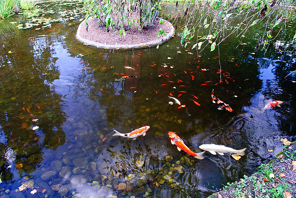 Ladew Gardens, Monkton, MD