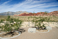 Red Rock Canyon, Las Vegas, NV