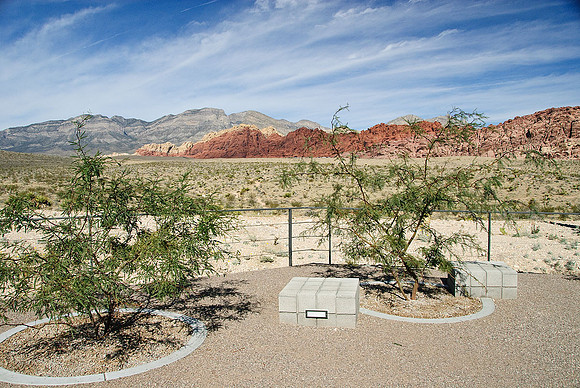 Red Rock Canyon, Las Vegas, NV
