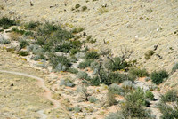 Red Rock Canyon, Las Vegas, NV