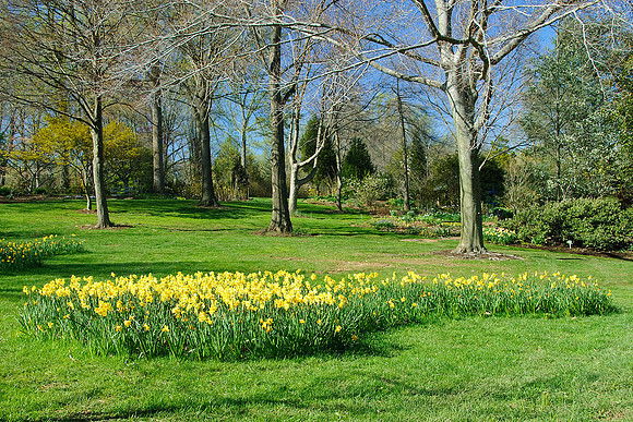 Brookside Gardens, Wheaton, MD