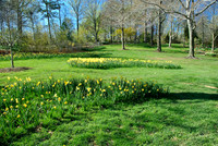 Brookside Gardens, Wheaton, MD