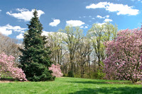 National Arboretum, Washington, DC