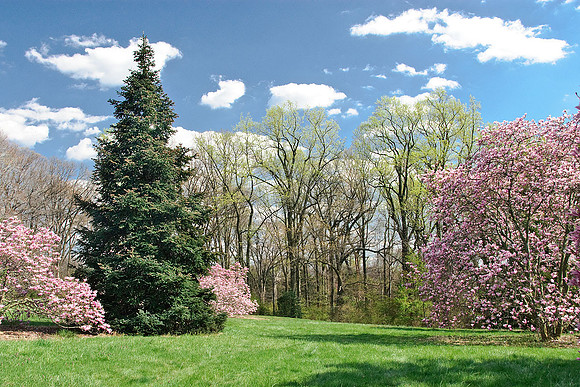 National Arboretum, Washington, DC