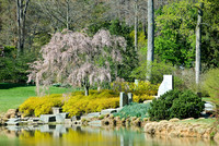 Brookside Gardens, Wheaton, MD