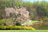 Brookside Gardens, Wheaton, MD