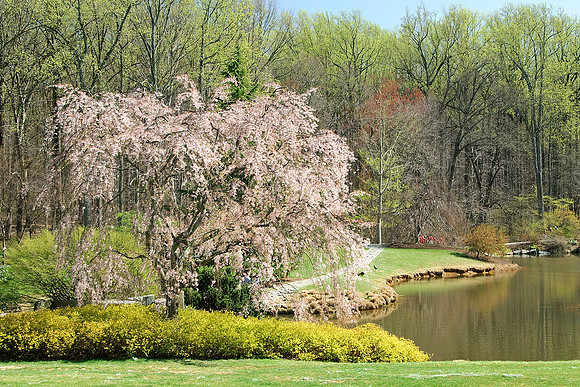 Brookside Gardens, Wheaton, MD
