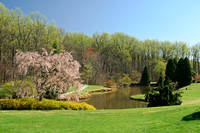 Brookside Gardens, Wheaton, MD