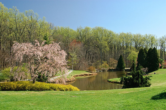 Brookside Gardens, Wheaton, MD