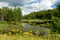 Adirondack State Park, NY