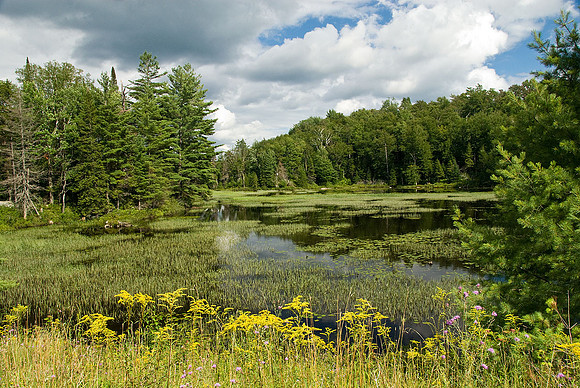 Adirondack State Park, NY