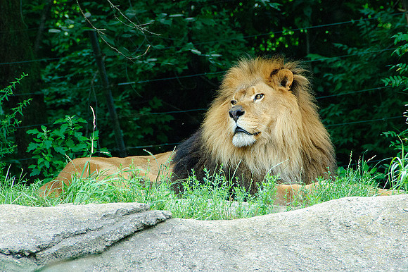 Pittsburgh Zoo
