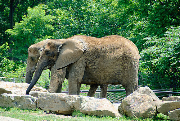 Pittsburgh Zoo