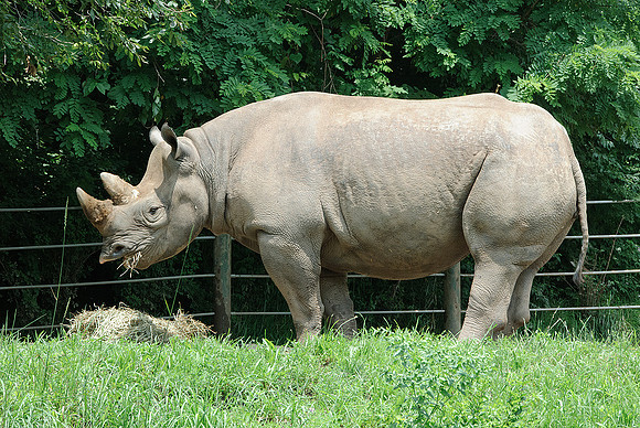 Pittsburgh Zoo