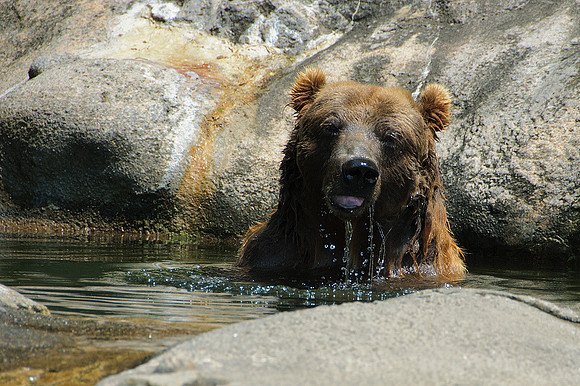 Pittsburgh Zoo
